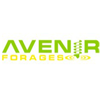 avenir forages